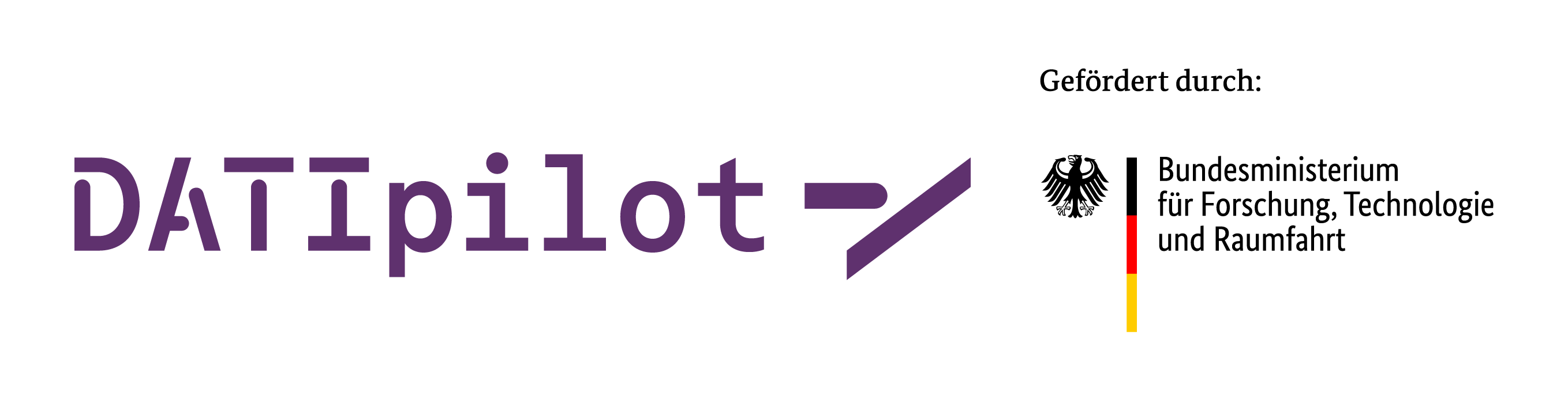 Datipilot BMFTR Logo